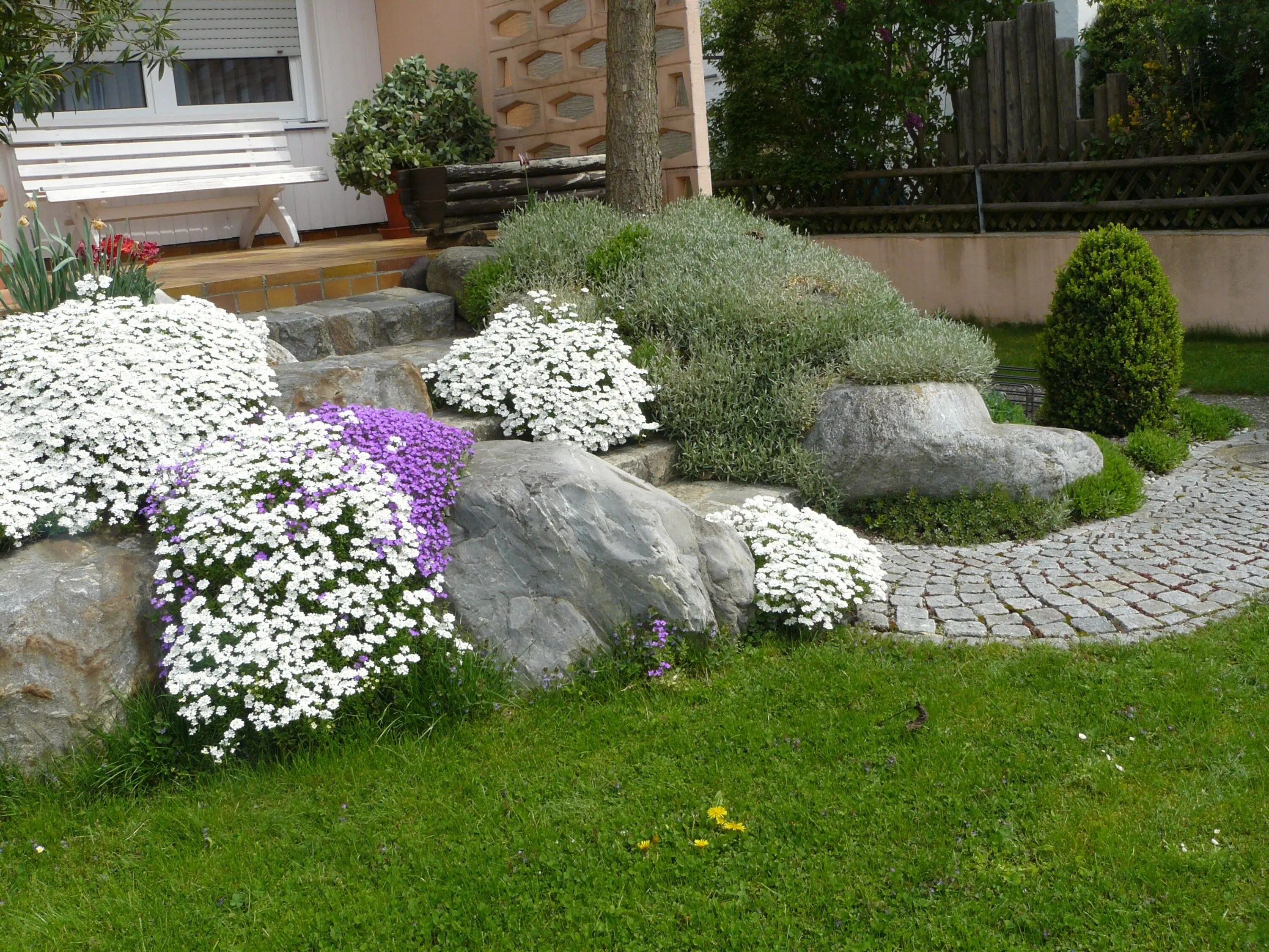 Bahçe ve teras ile daire - mülk fotoğrafı 3